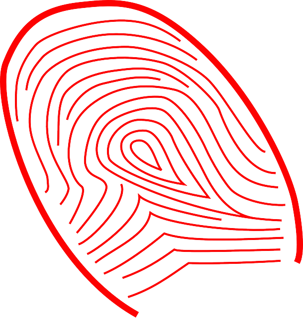 fingerprint-297594_640